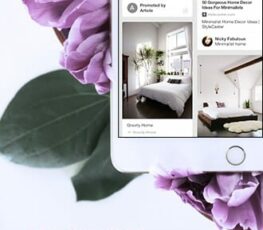 an image of a pinterest ad.