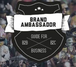 Brand Ambassador guide for business image.