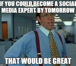 A social media expert meme.