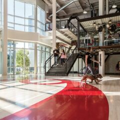Qualtrics Qualtrics