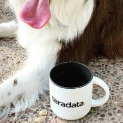 Teradata. Teradata.