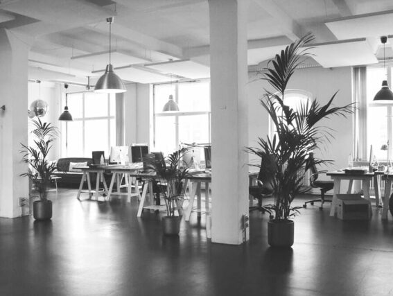 WBD Office.
