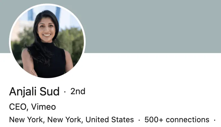 Anjali Sud’s LinkedIn profile