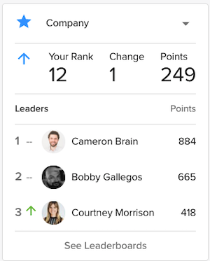 Gamification leaderboard example. 