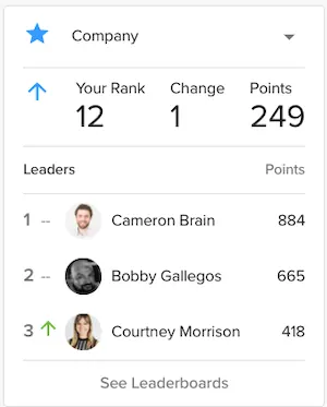 Gamification leaderboard example.