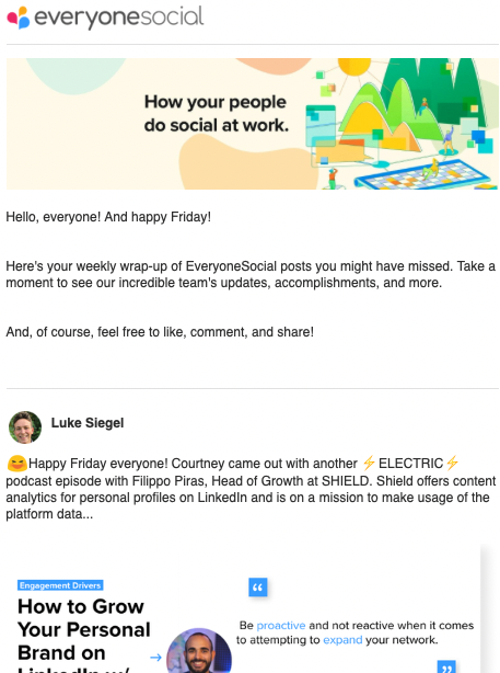 EveryoneSocial newsletter example. 