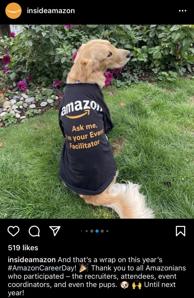 Dog wearing an Amazon shirt.