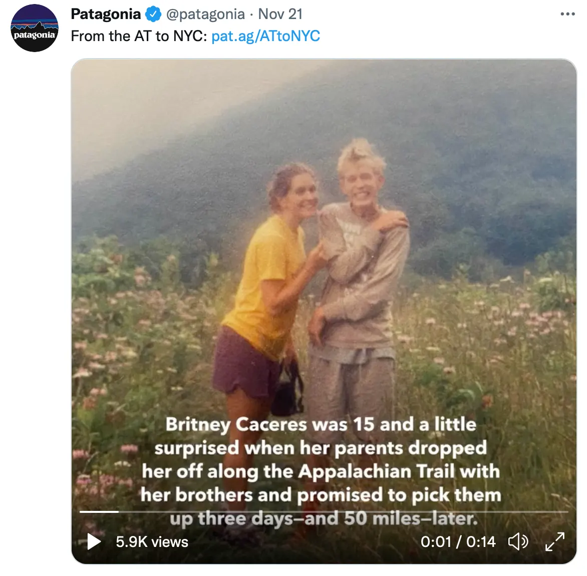 patagonia twitter